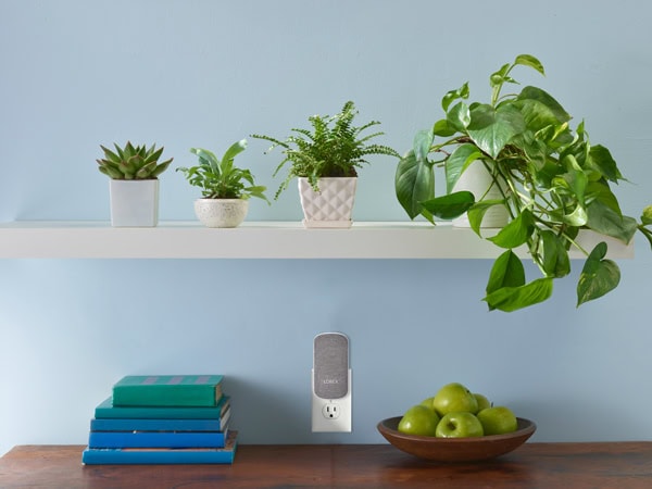 A security camera on the wall