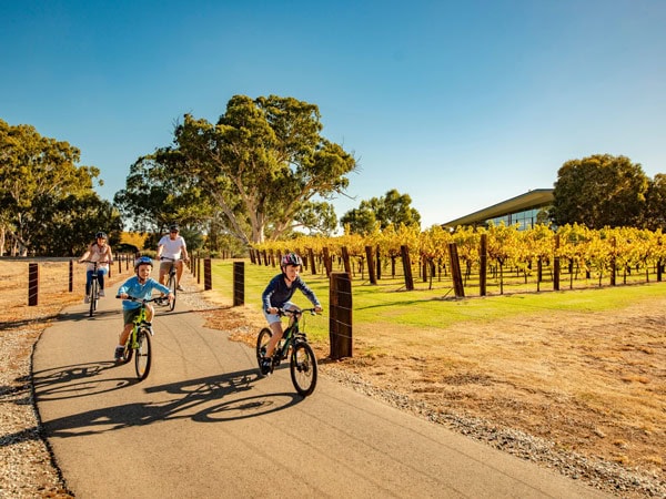 biking along the vineyards on the Barossa Rail Trail