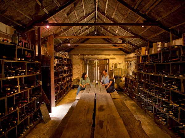 friends sitting in front of a long wooden table inside the cellar door of Brand’s Laira, Coonawarra