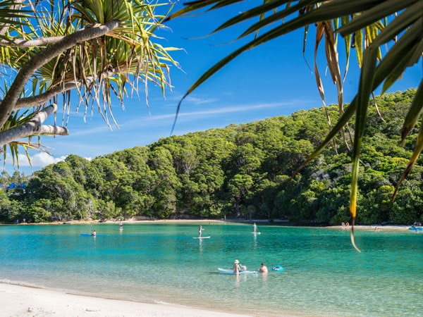 the Tallebudgera Creek in Burleigh Head National Park
