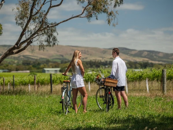 a couple alongside their bicycles stopping by a vineyard along the Coast to Vines Rail Trail