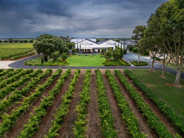 the exterior of DiGiorgio Family Wines surrounded by vast vineyards