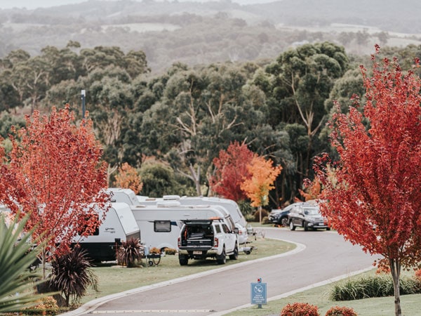 Autumnal colours at Discovery Parks Hahndorf