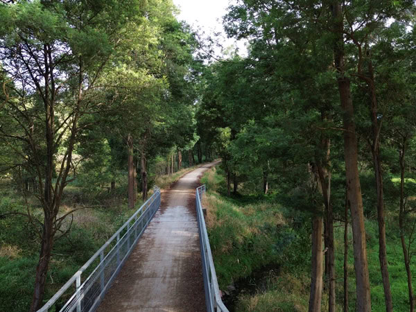 an aerial view of the forested trail along the Great Southern Rail Trail