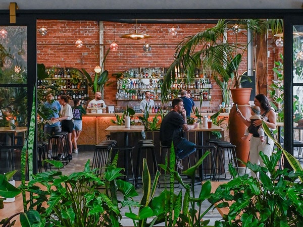the bar interior of H&C Urban Winery filled with plants