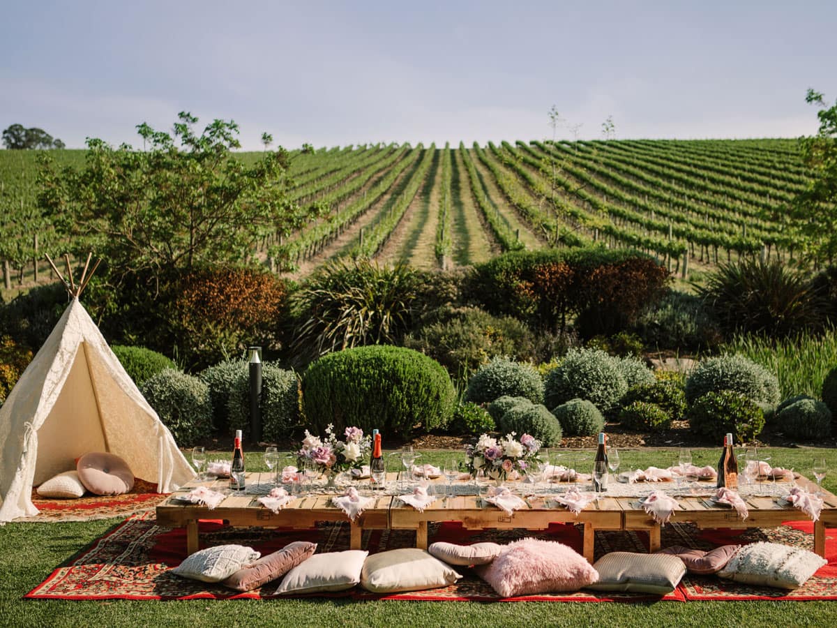 an outdoor picnic setup with a triangle tent overlooking the vines at Golding Wines