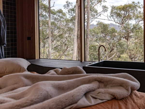 the view from a Hunter cabin, Huon Valley