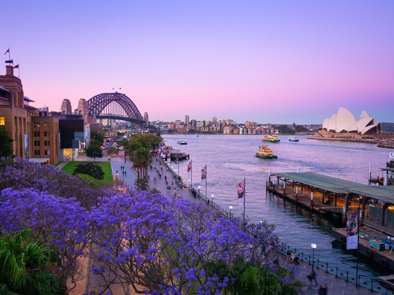 The 8 Best Places To See Jacarandas Around Australia | Australian Traveller