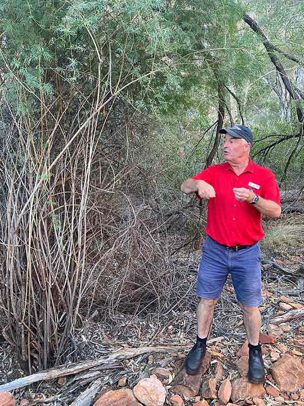 aat kings uluru tour guide