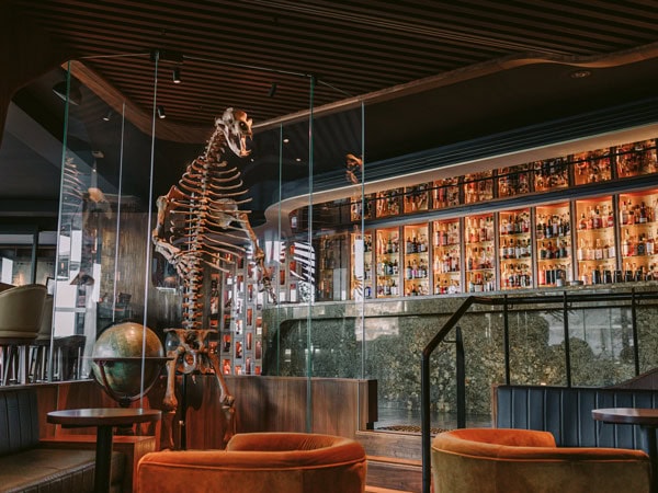 a bear fossil at Evolve Spirits Bar, MACq01