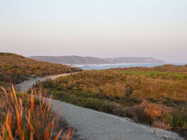 coastal views from the Munda Biddi Trail