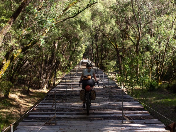 biking along the forested area at Munda Biddi Trail