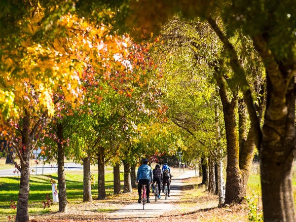 biking along the Murray to Mountains Rail Trail in autumn