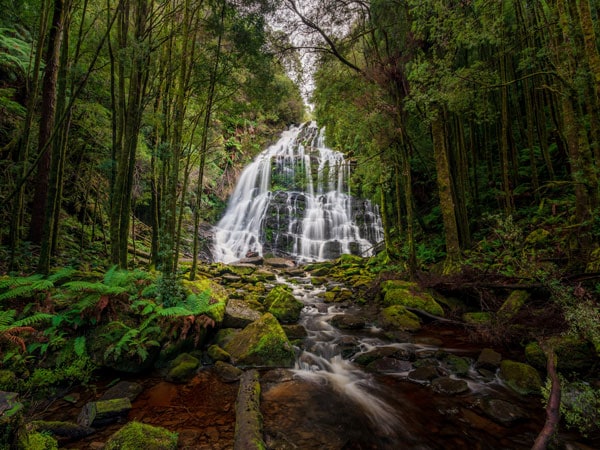 the Nelson Falls surrounded by a rainforest