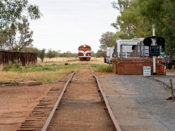 a train passing through the Old Ghan Railway Heritage Trail