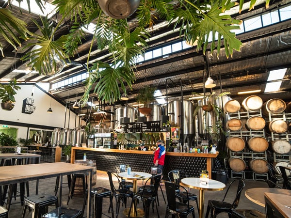 the breezy beer garden interior of One Drop Brewing Co