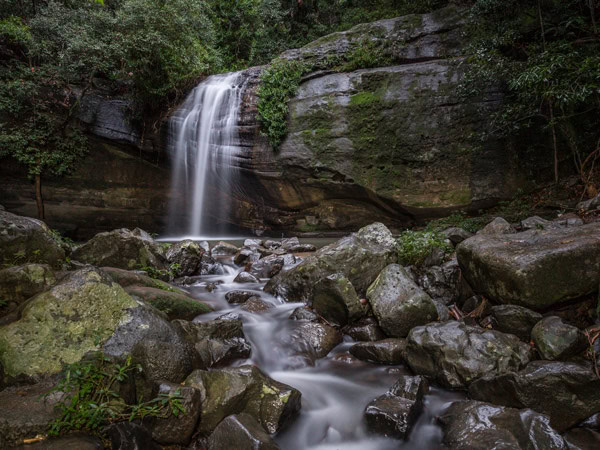 a small cascade pouring down the rocks at Serenity Falls, Qld