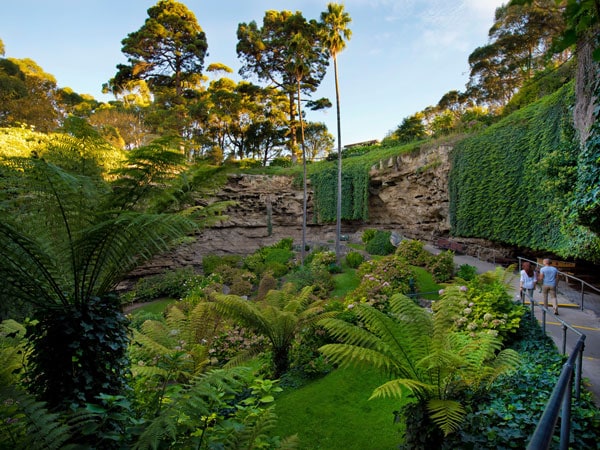 lush greenery at Umpherston Sinkhole