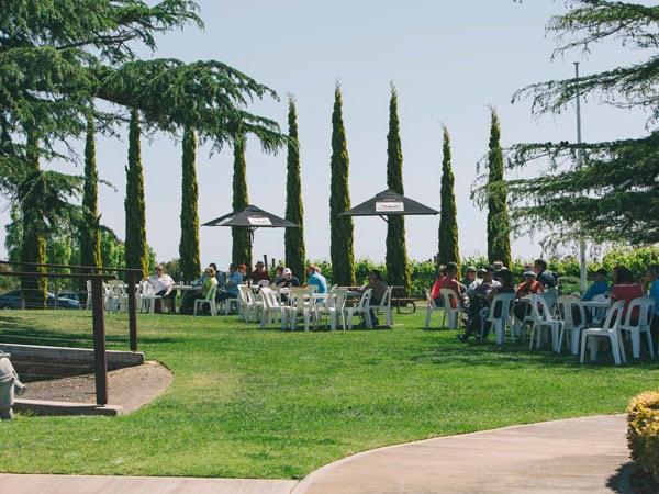 people dining in the al fresco area of Wynns Coonawarra Estate