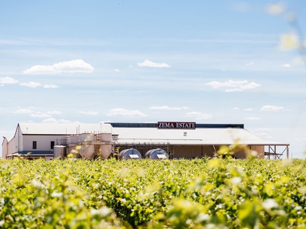 the vineyard exterior of Zema Estate