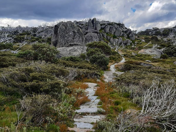 Snowies Alpine Walk