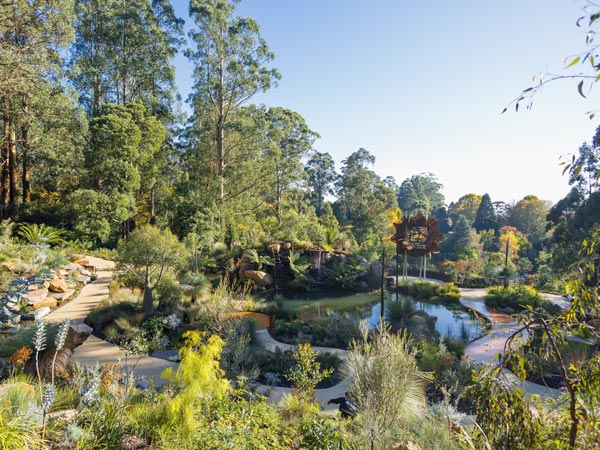 lush greenery at Chelsea Australian Garden, Olinda