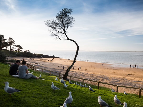 a couple sitting with birds by the beach, Cowes