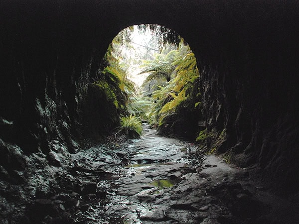 Newnes Glow Worm Tunnel