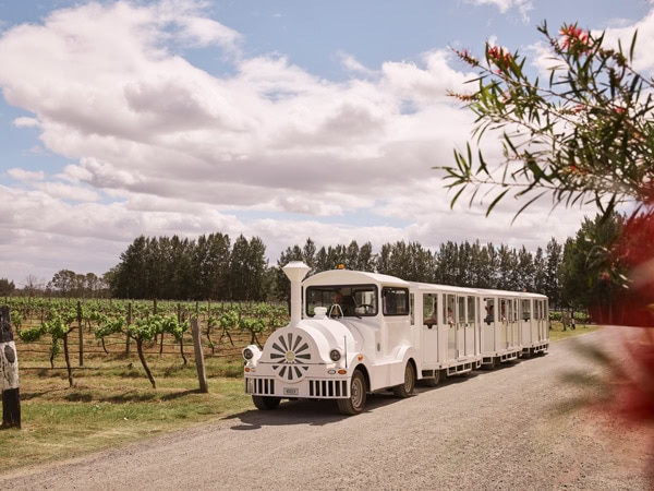 a train strolling around the vineyards at Rydges Hunter Valley