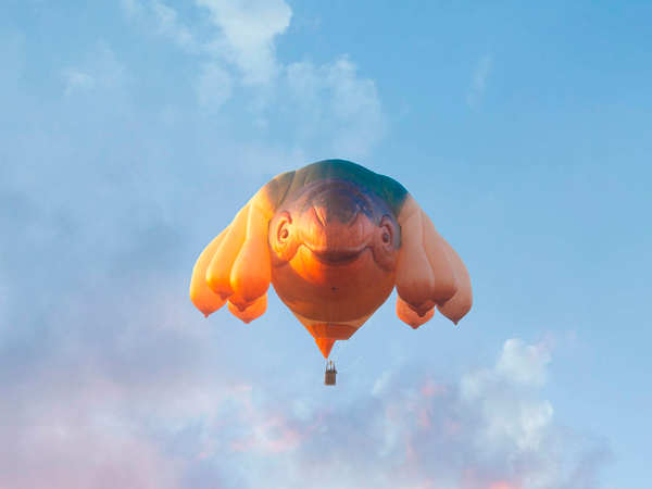 Patricia Piccinini’s Skywhales floating exhibition