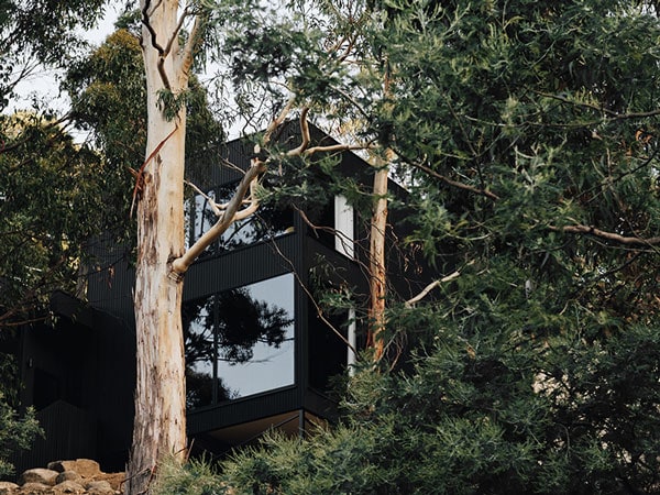 the Slow Beam Airbnb in Hobart tucked within a forest