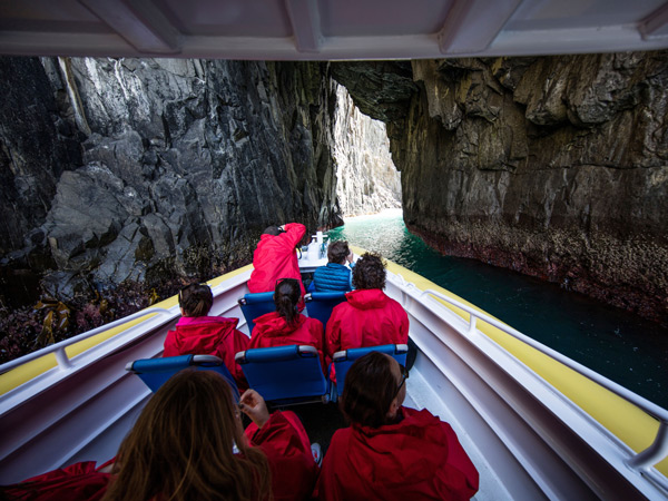 a Bruny Island tour with Pennicott Wilderness Journeys