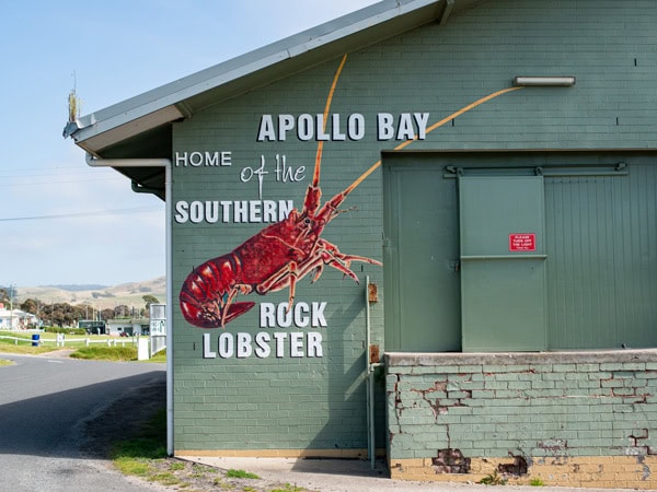 the exterior of al fresco seafood feast at the Apollo Bay Fishermen’s Co-op