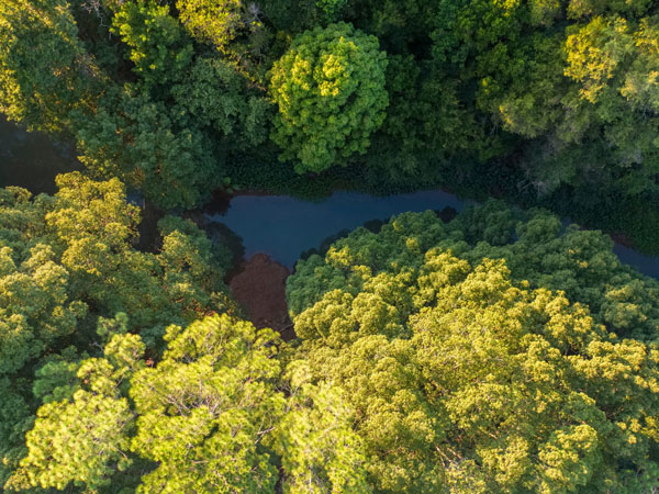 an aerial view of the Bangalow Parklands