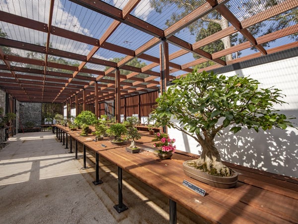 Bonsai House in Brisbane Botanic Gardens, Queensland