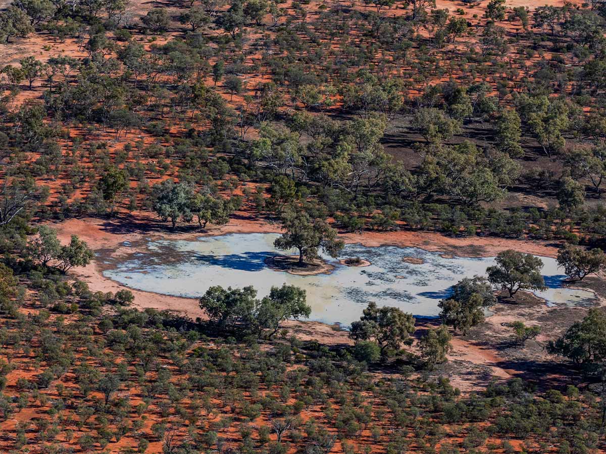 NSW has scored a stunning new national park