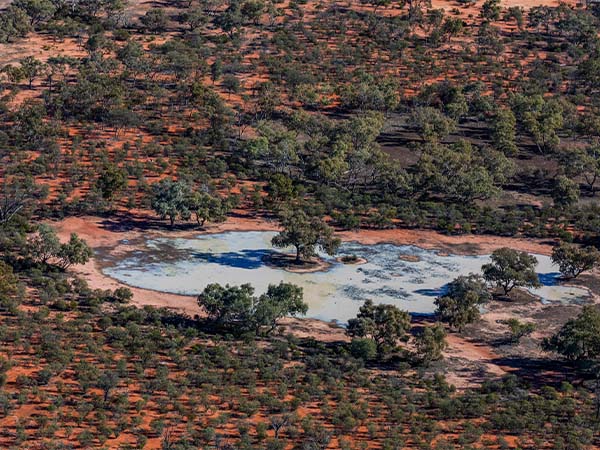 Cuttaburra National Park