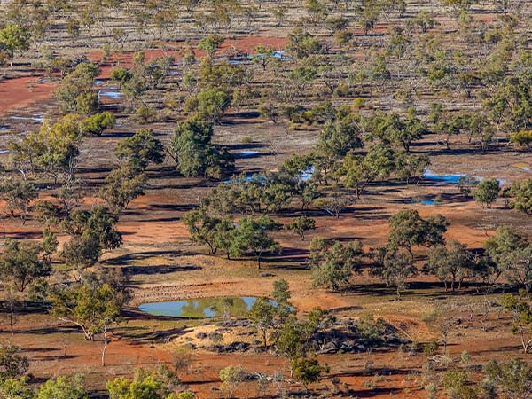 Cuttaburra National Park