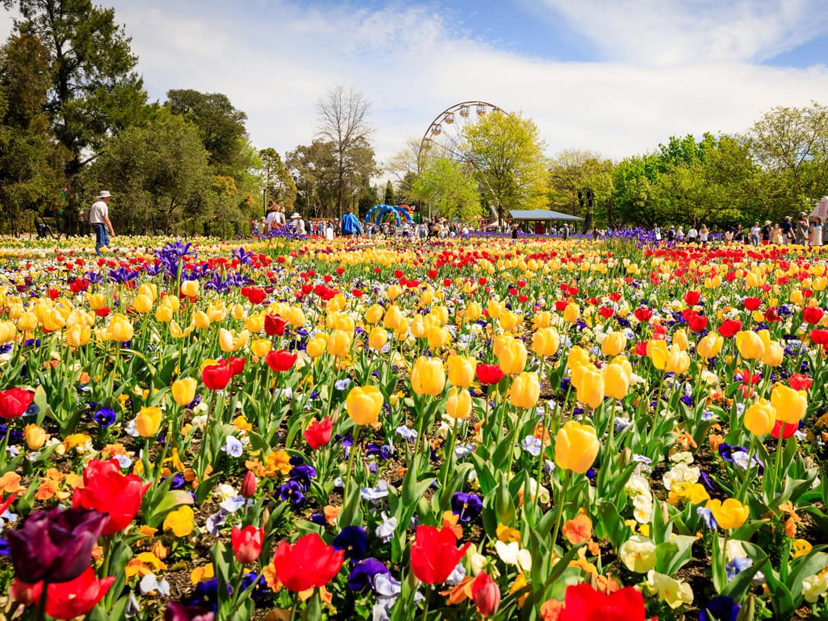 Floriade flower festival in Canberra