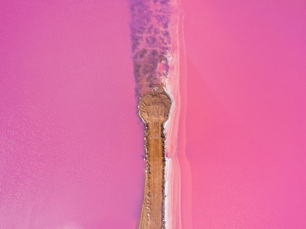 an aerial view of the pink lake at Hutt Lagoon