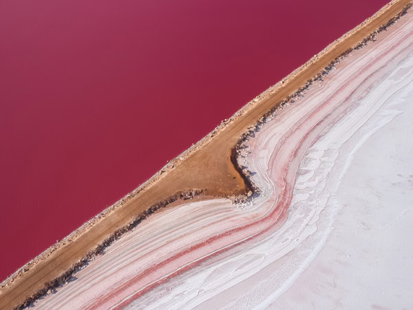 the pink marine salt lake at Hutt Lagoon