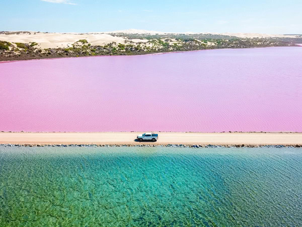 a 4wd driving on the road along Lake MacDonnell