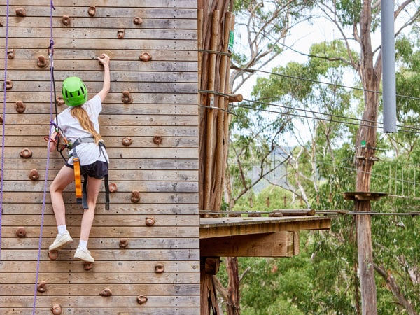 wall climbing at Live Wire Park, Lorne