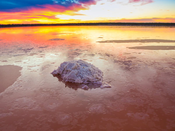 salt crystals at Murray River Salt Lake