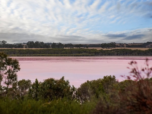 the Pink Lake in Dimboola