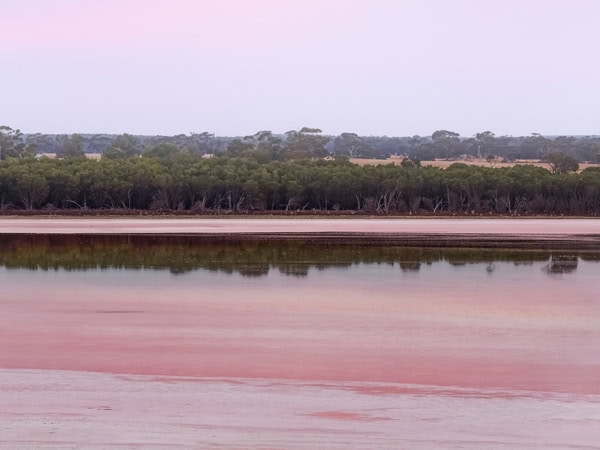 the Pink Lake in Dimboola