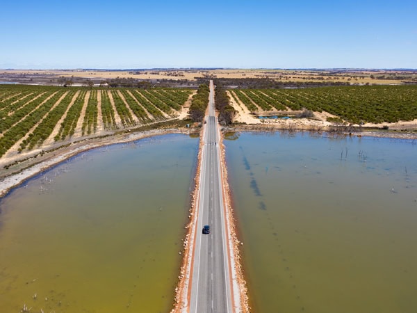 driving through Quairading Pink Lake, the Wheatbelt, WA