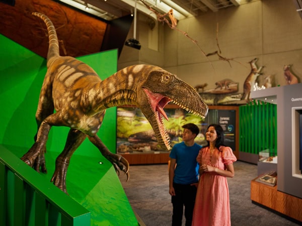 guests admiring a dinosaur skeleton at Queensland Museum Kurilpa