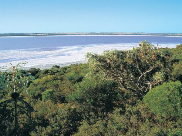 the view of The Pink Lake in Esperance