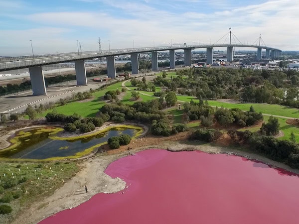 Westgate Park pink lake in Port Melbourne